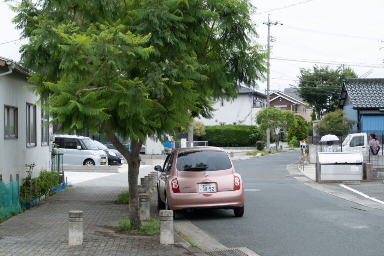 Street view featuring a parked car under lush tree in quiet urban neighborhood.