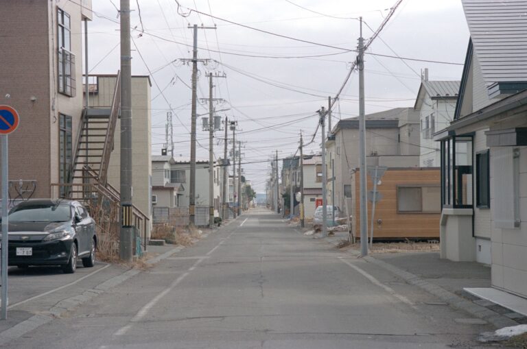 View of a serene residential street in an urban area on a cloudy day, showcasing everyday urban life.