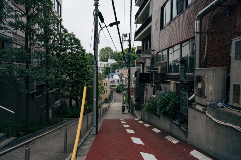 Discover a serene street scene in Tokyo, capturing a peaceful side of the bustling city.