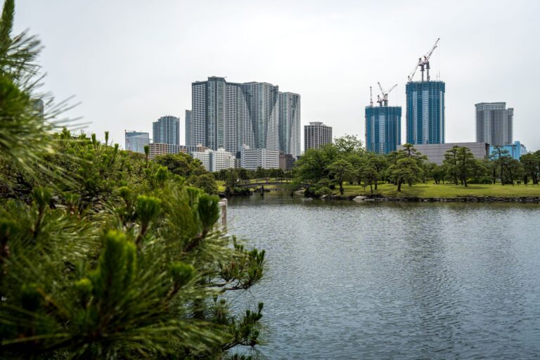 A city skyline with cranes rises over a tranquil park and lake, blending nature and urban life.
