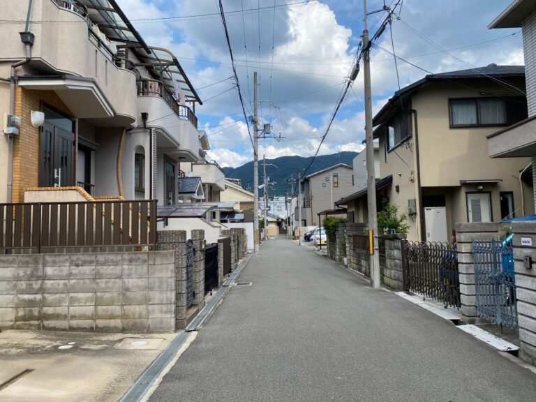 Scenic view of a quiet urban street with residential houses and mountains in the background.