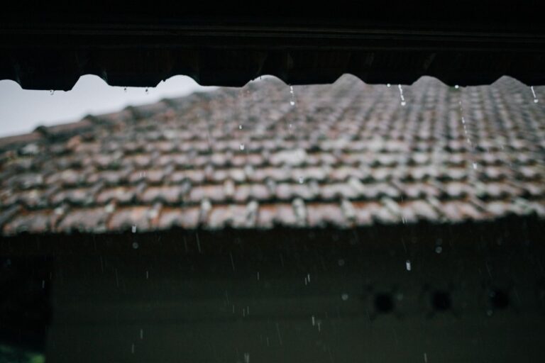 雨に濡れた日本家屋の屋根